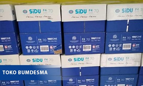 jenis usaha_toko bumdesma-min Bumdesmas dhastra kalitidu, bumdesmas kecamatan kalitidu, badan usaha desa bersama kalitidu, badan usaha desa bersama dhastra, bumdesmas dharma sejahtera kalitidu