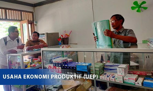 jenis usaha_uep-min Bumdesmas dhastra kalitidu, bumdesmas kecamatan kalitidu, badan usaha desa bersama kalitidu, badan usaha desa bersama dhastra, bumdesmas dharma sejahtera kalitidu